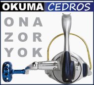 OKUMA CEDROS KAMIŞ VE MAKİNELER