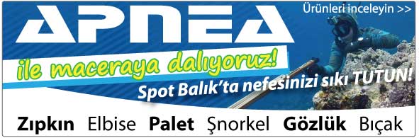 Apnea Serbest Dalış ve Zıpkın Malzemeleri Spot Balık'ta!