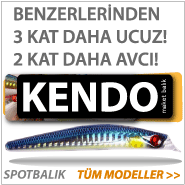 Kendo Rapala