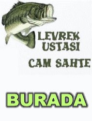 Cam rapala çeşitleri için tıklayınız.