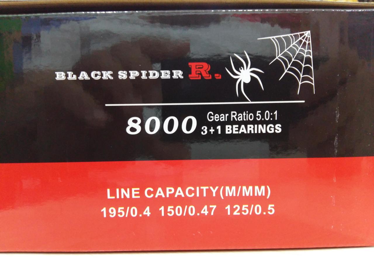 BLACK SPIDER R. Boy : 8000