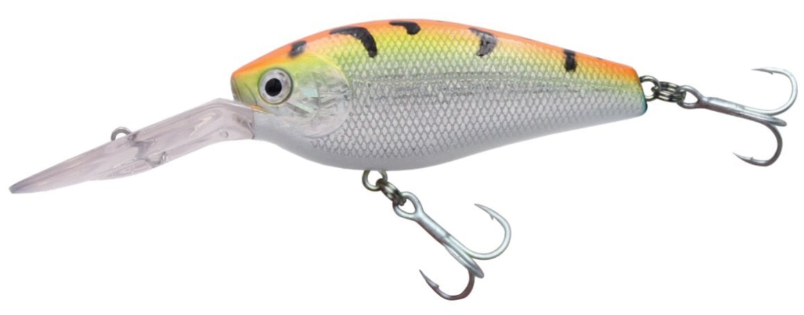 Japanese Blanca HG2677