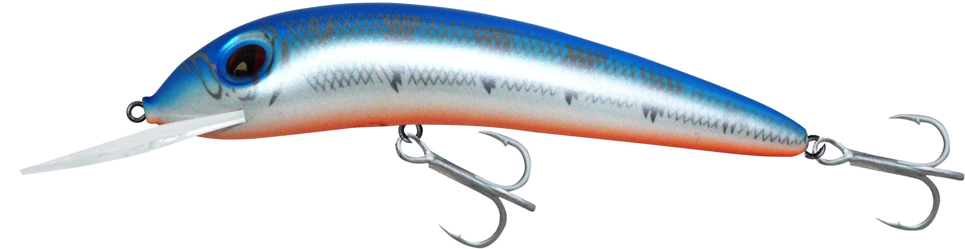 Japanese Iruka HG2764