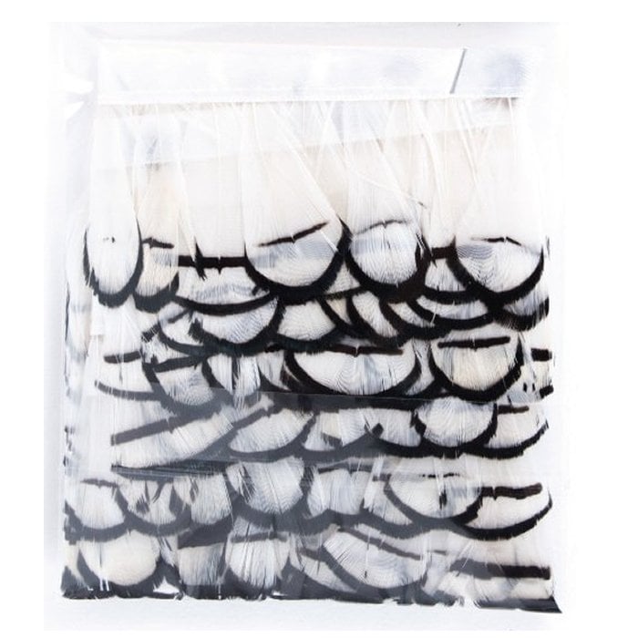 Abari Sülün Tüyü Beyaz (çapari kösteği için)