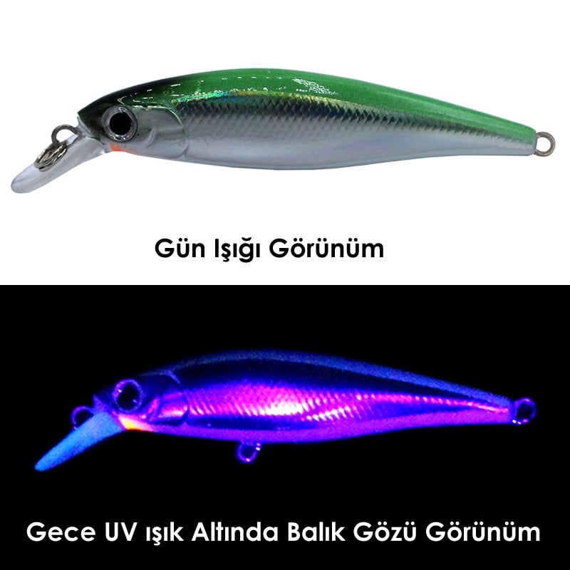 TORA Arco 65 Maket Balık 01