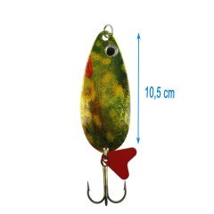 Jaxon H.S Karas Krol #3 24 Gr H