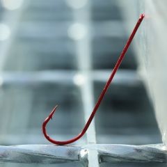 BKK Red Carlisle Bloodworm-R İğne 3/0