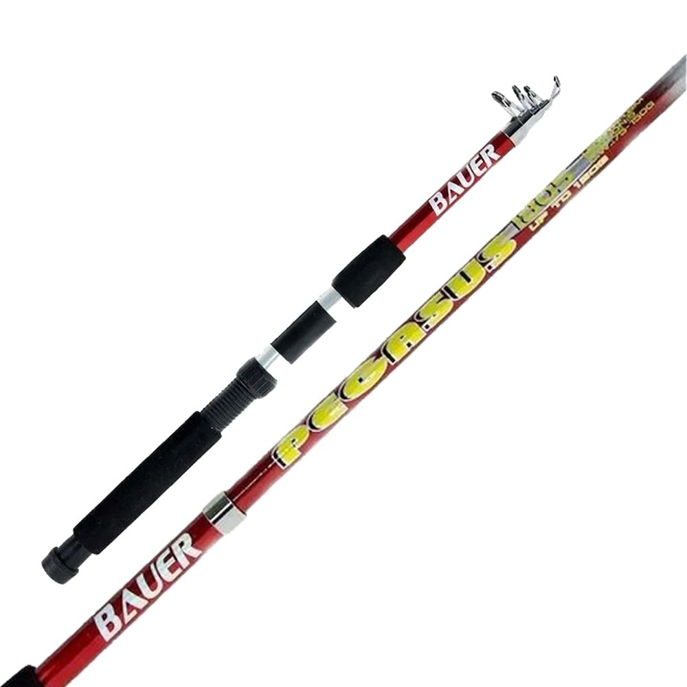 Michigan Gloria Makine Kamış Olta Seti