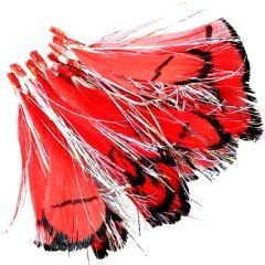 Abari Sülün Tüyü Tekne Palamut Çapari Kösteği