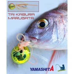 Taikabura Tnd Marugata Set 150 Gr - 11