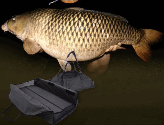 Prologıc Stalker Mat (90cmx50cm)