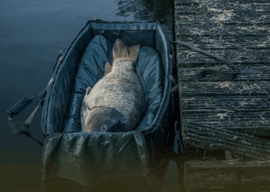 Prologıc Cradle Unhooking Mat XL (105cmx60cm)