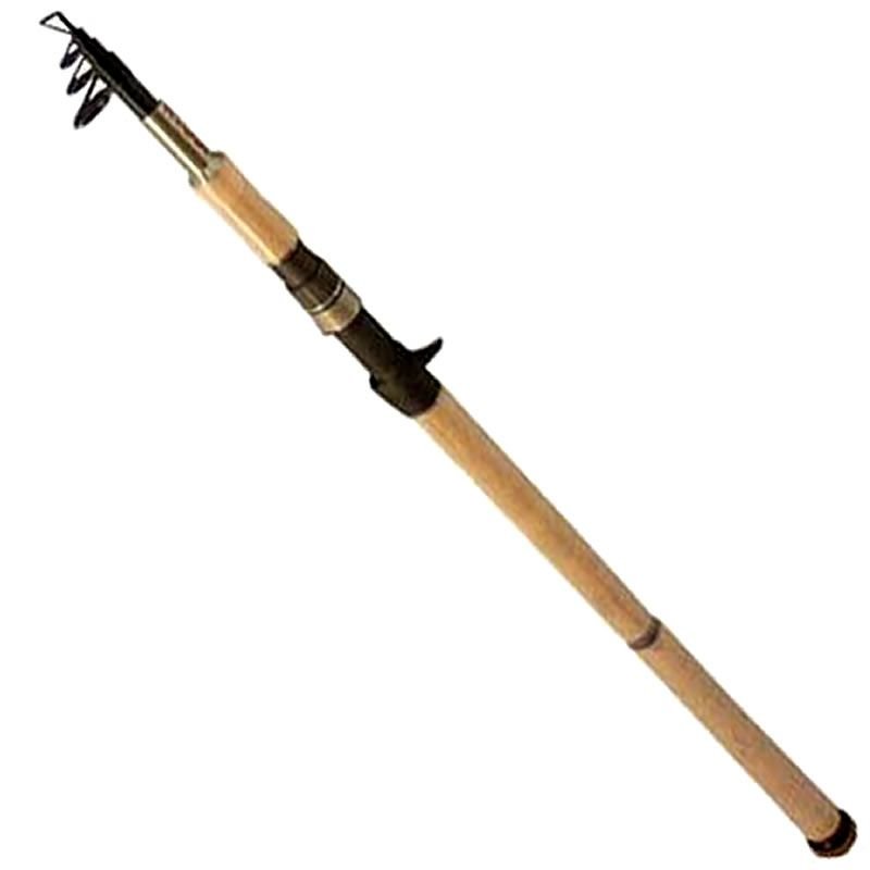 Ryobi Zeta 2.60mt Teleskopik Kamış, Fiyatı 2.922,16 TL Özellikleri