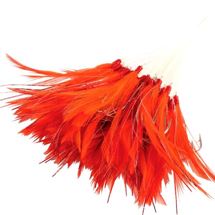 Abari Tekne Palamut Çapari Kösteği Horoz Tüyü 50ad