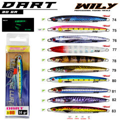 Wily Dart Jig 30 gr