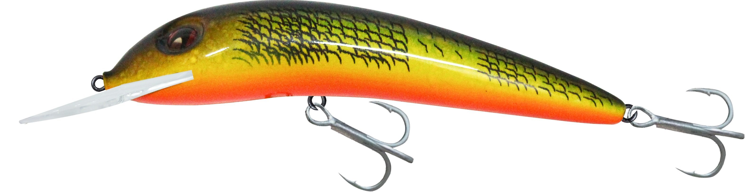 Japanese Iruka HG2769