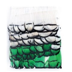 Abari Sülün Tüyü Beyaz Yeşil (çapari kösteği için)