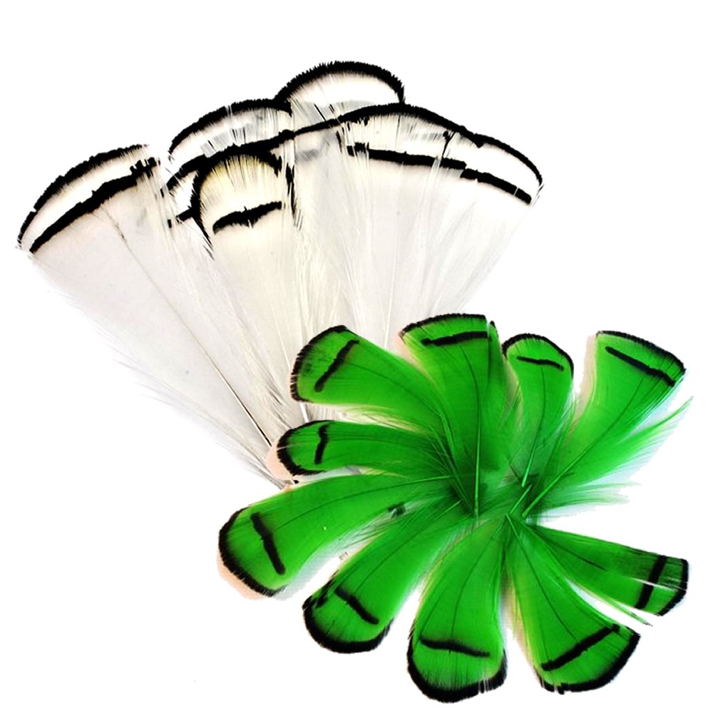 Abari Sülün Tüyü Beyaz Yeşil (çapari kösteği için)