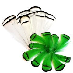 Abari Sülün Tüyü Beyaz Yeşil (çapari kösteği için)