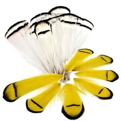 Abari Sülün Tüyü Sarı Beyaz (çapari kösteği için)