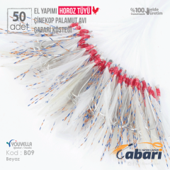 Abari B09 Horoz Tüyü Çinekop Çapari Kösteği 50ad Beyaz B09 - 4 No BY İğne