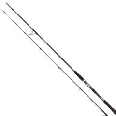 Apia Foojin Black Line 96MH 2.92mt 80gr Spin Kamış