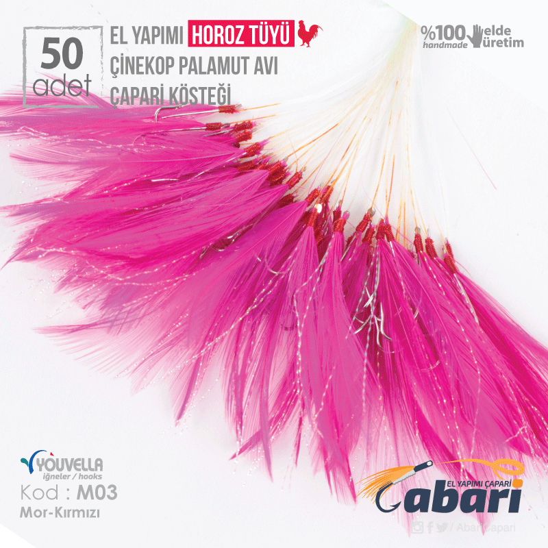 Abari M04 Horoz Tüyü Çinekop Çapari Kösteği 50ad Mor M04 - 6 No BY İğne